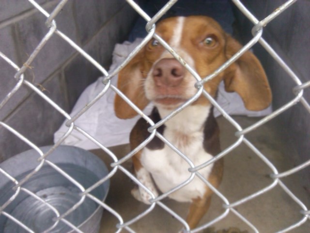 32b7c7a32634c2dc80af20b4c782cc49b24727bb