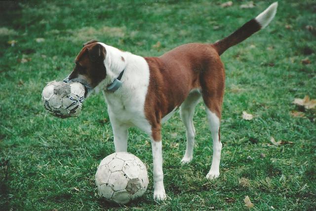 lucy with soccer balls