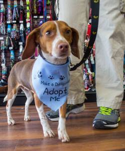 11072537_10155242343030411_328043549526161166_n