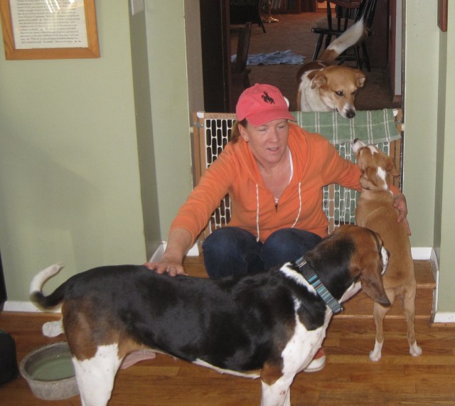 ???????????????????????????????