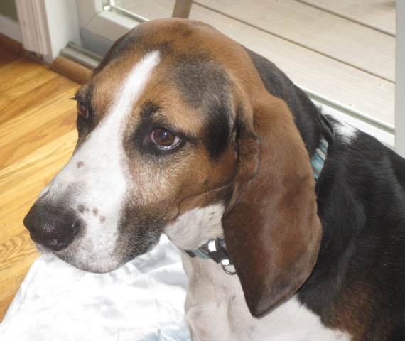 ???????????????????????????????