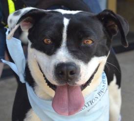 11053290_935900013116211_8762747800097371945_o