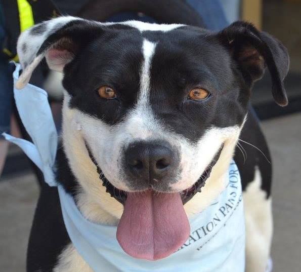 11053290_935900013116211_8762747800097371945_o