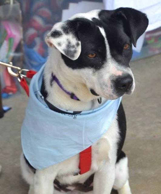 11090842_935901093116103_4658826510233429709_o