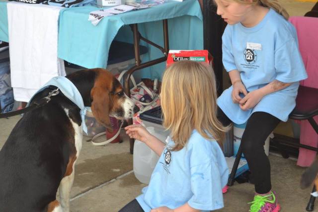 11206781_935900266449519_8378588954177058752_o