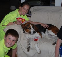 Playing Apples to Apples with Carla