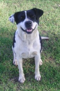 ec8a4b9e7073391214973fb2f291133d22d9073b