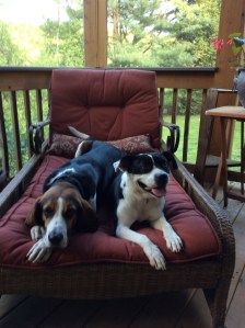 I know they look innocent, but they are capable of significant mess making and proportionately ridiculous destruction.