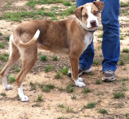 afe00d67d4844ecbf329b10848a748b39725226b