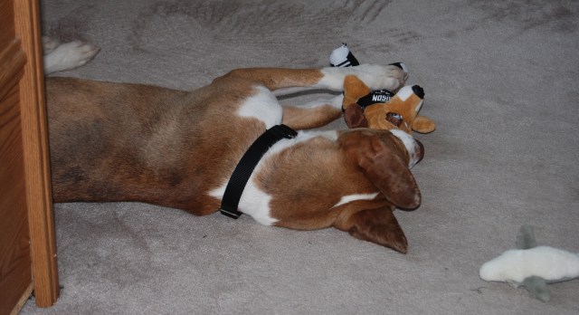 Snuggling with one of his stuffies