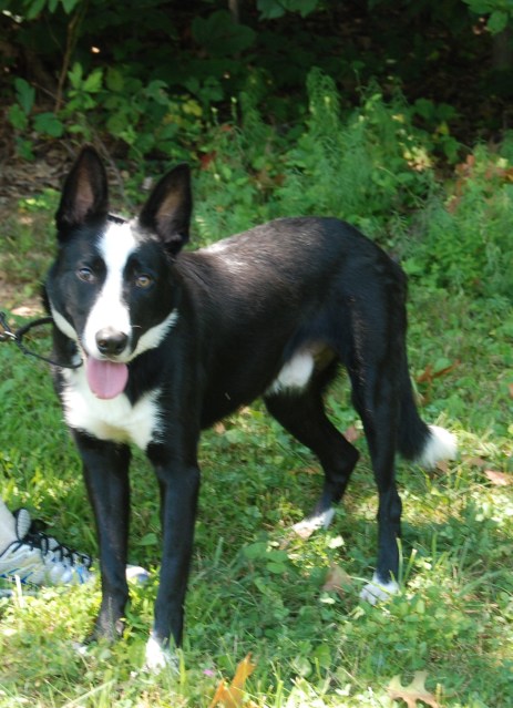 Texas - isn't he a stunner!