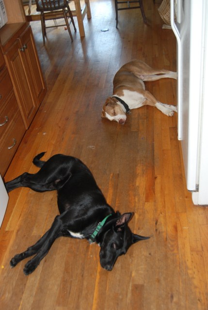Canning tomatoes simply did not hold their attention.