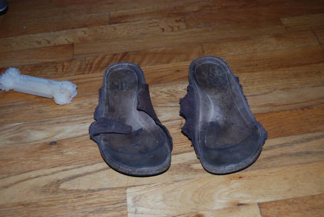 What's left of my favorite sandals