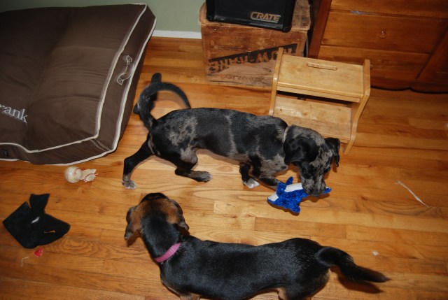 Chism says, "I'll take that!"