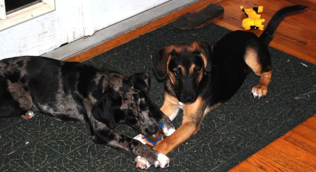 A rare moment of sharing