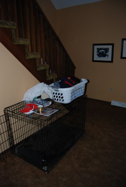 This is Gracie's crate - she insisted on having her own when we began fostering other dogs.