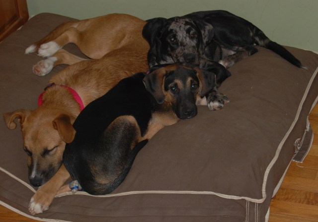 And every now and again, this happens.