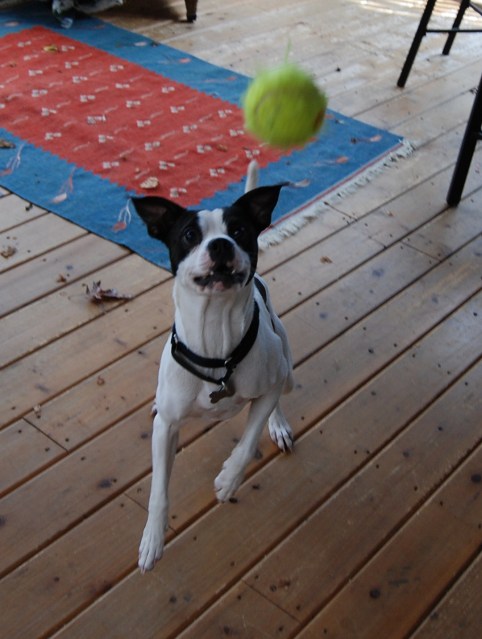 Notice the intense focus