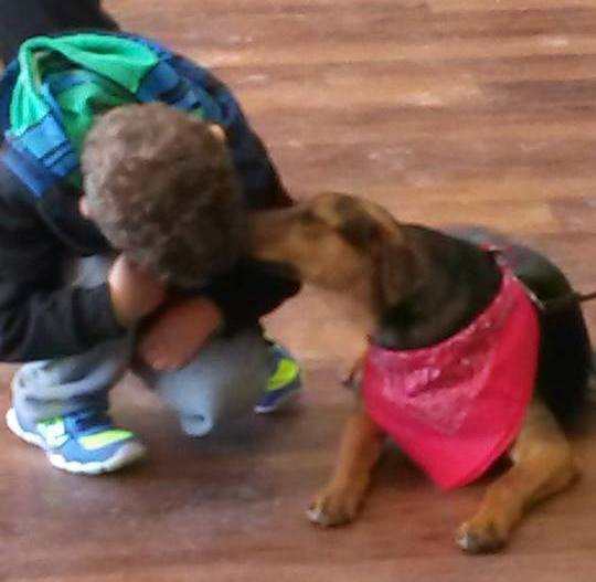 12717280_10154637382088079_5431802677984980173_n