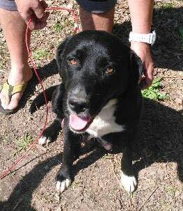 944340_10154039807634513_1697945327153506684_n