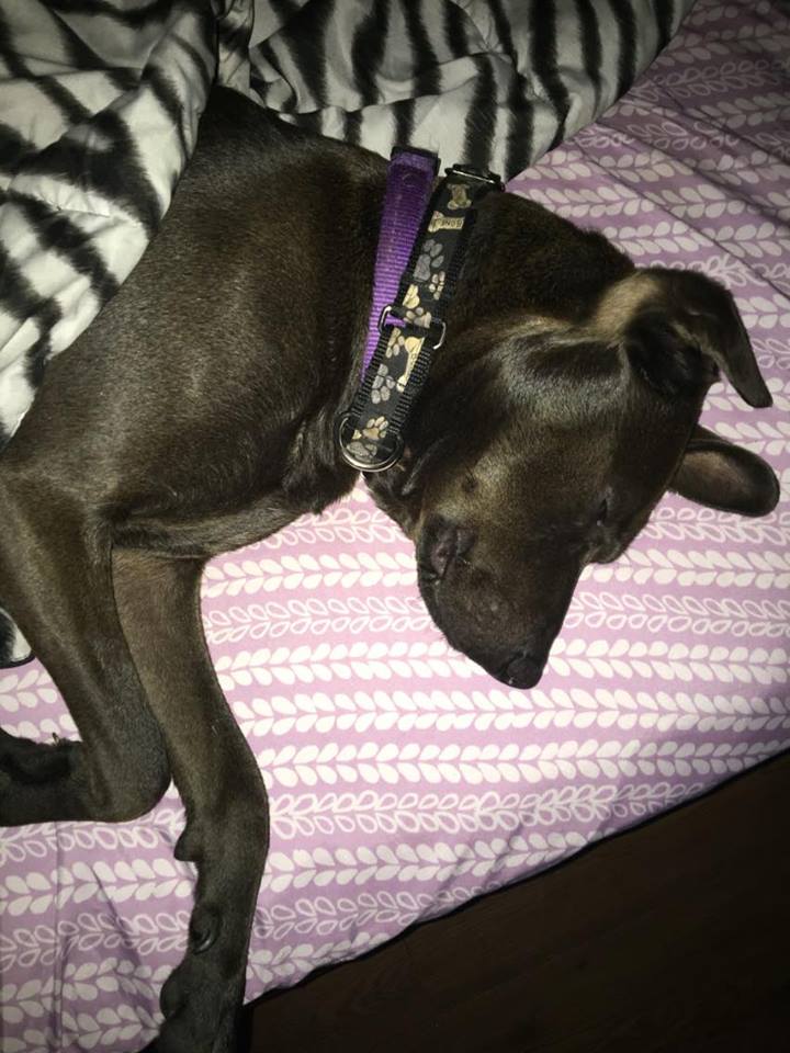 13530406_10209853257392508_1828992641_n