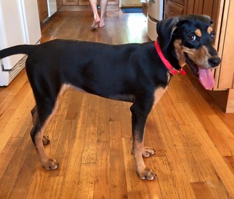 13754127_10153739811522405_8966887503386760583_n