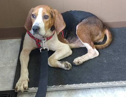 13873195_310561986000911_1672315493111540428_n