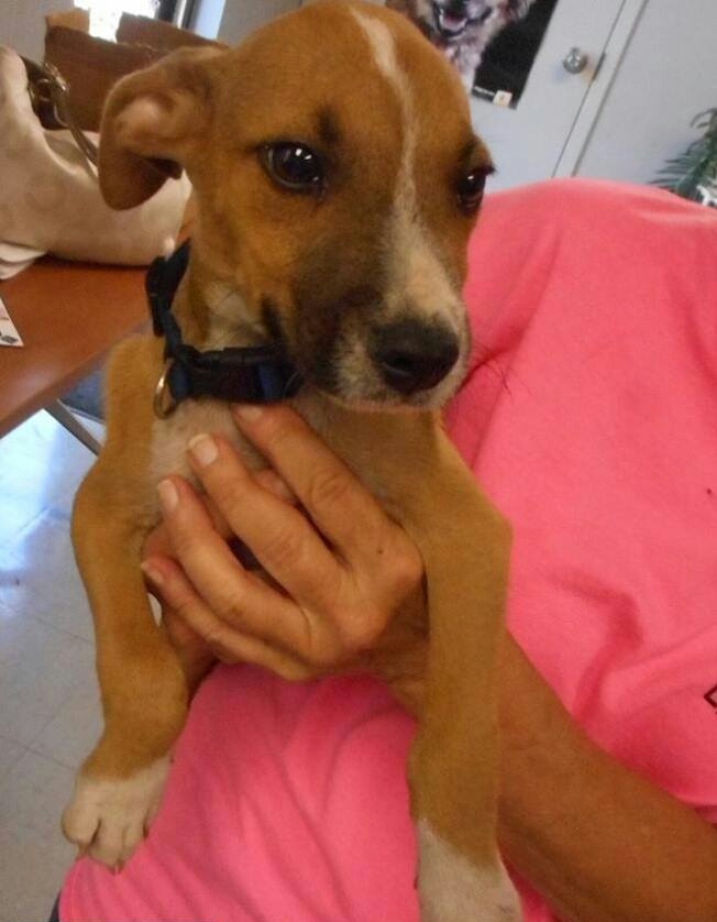 f9443e121067478184eeafa5f0e67340e0922793