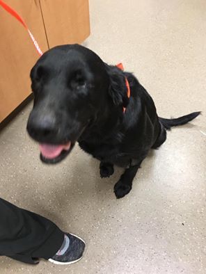 d7a808ab676a10047f2aebbdf32009866e1c78db