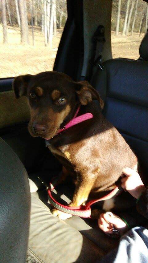 received_1682280152102419