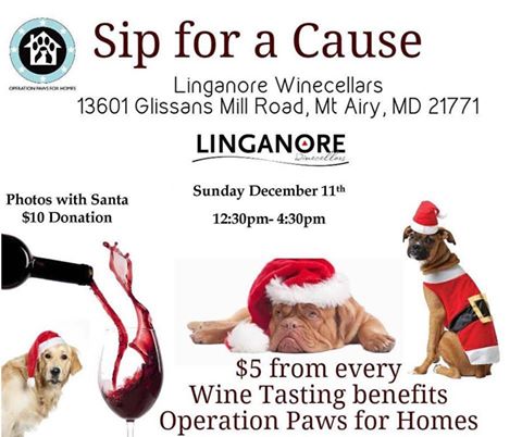 sip-for-a-cause