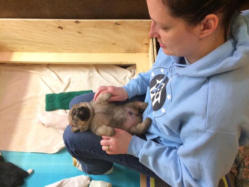 17264544_10154373841787405_691670624967995284_n