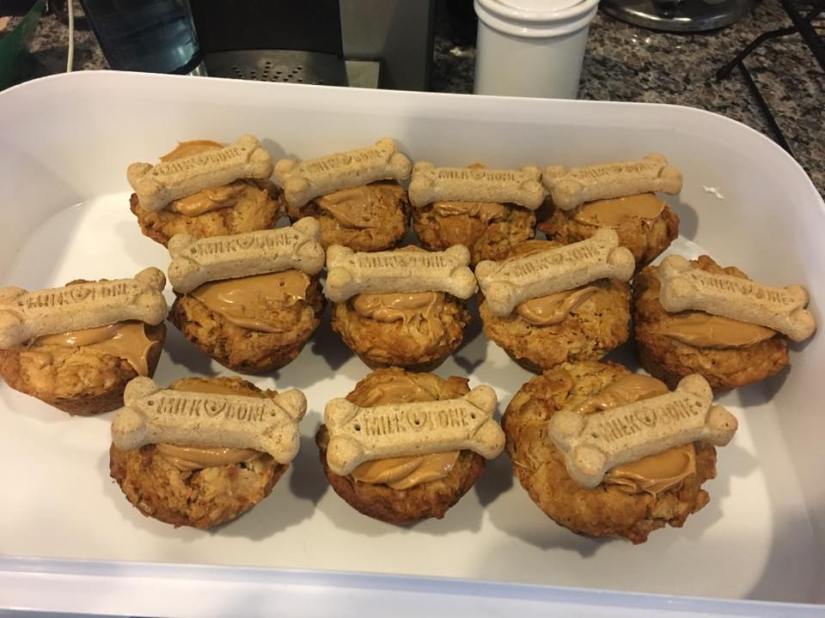 pupcakes for first birthday