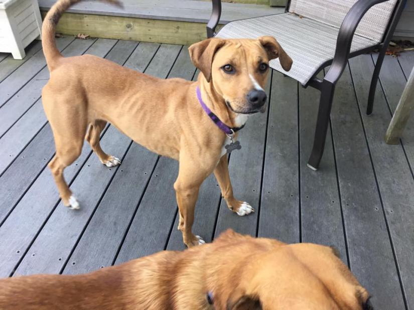 17757460_10154463206097405_1944568406784941222_n