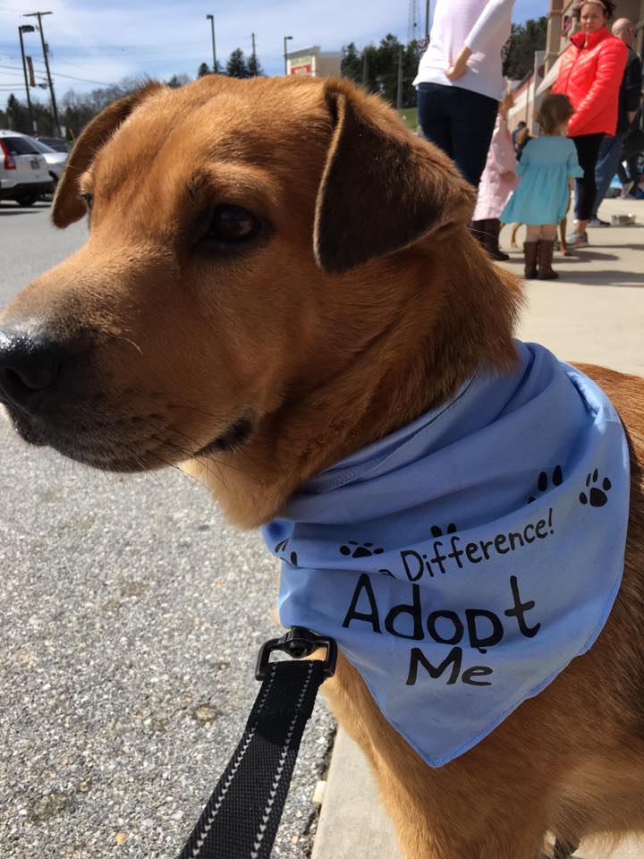 17861622_10154459987932405_7534122808352235708_n