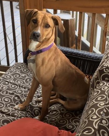 17952452_10154474789907405_6647583077430072201_n (2)