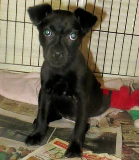 3cb07101c151913faa483dc8661e93a217208b2f