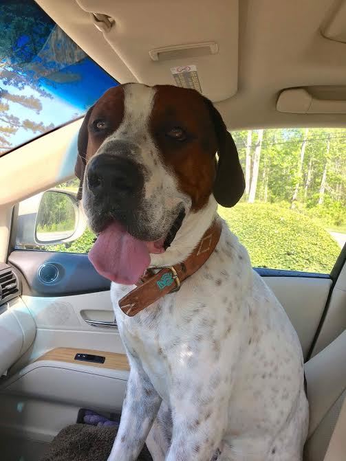 141db59b7ef3d3d7add3e002e62aee0814512dca