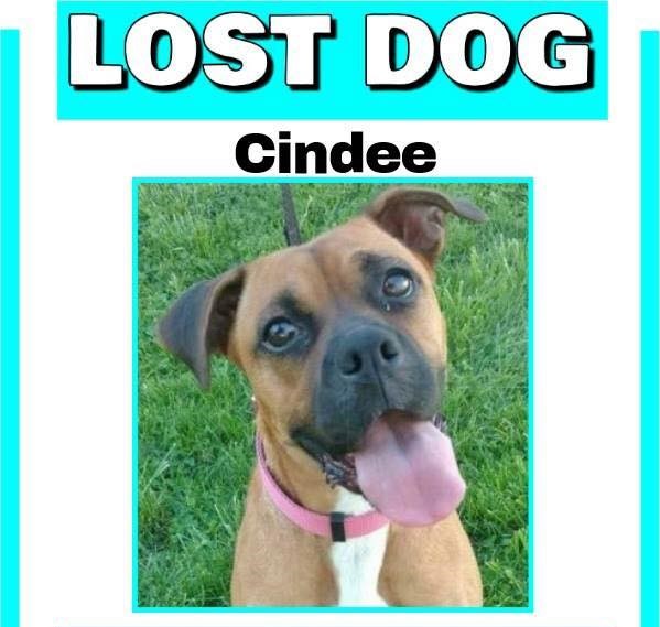 18198374_10154523301407405_6440108910141282593_n (2)