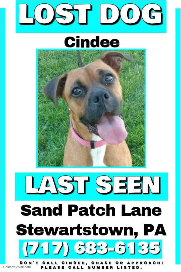 18198374_10154523301407405_6440108910141282593_n