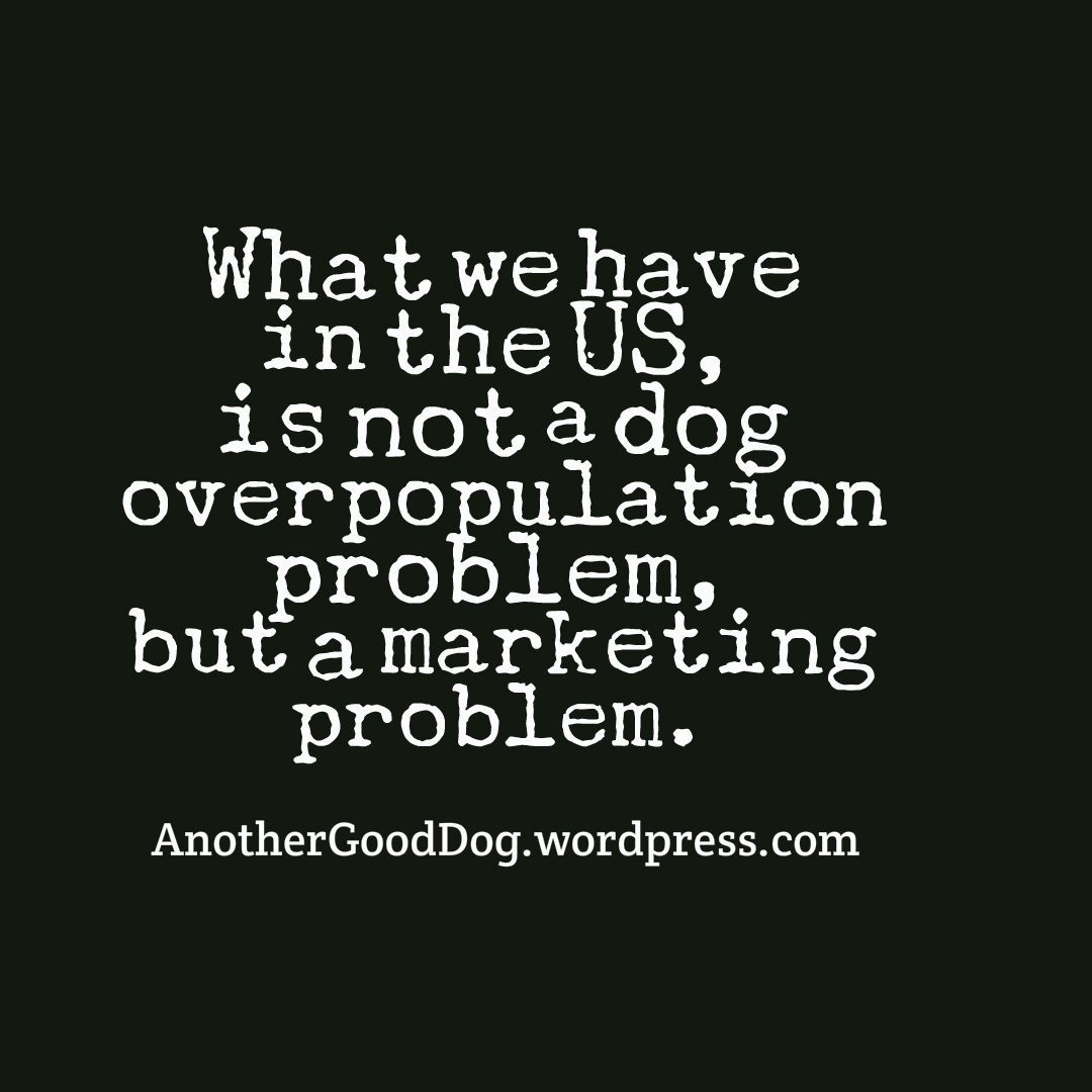 marketing problem.jpg