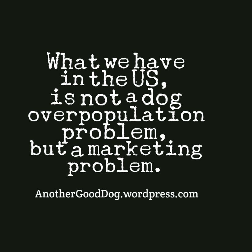 marketing problem.jpg