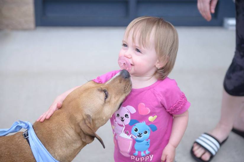 18835795_10212139138944951_8464207417224214769_n