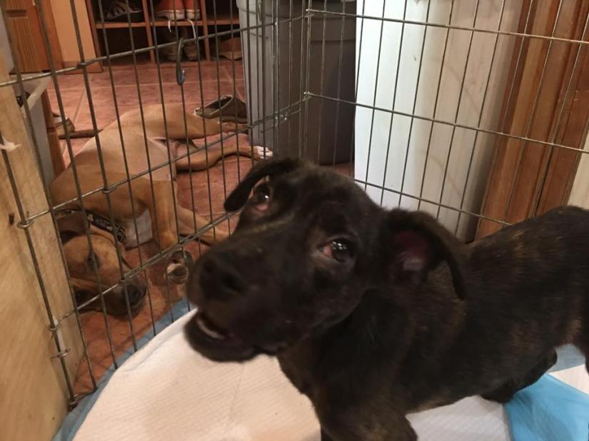 19059534_10154641402222405_5591078000074003837_n