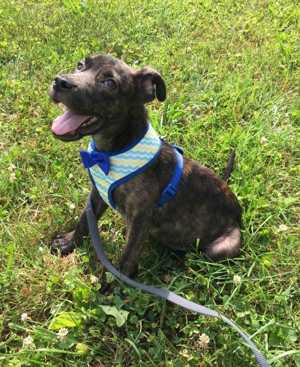 19225055_10154653033122405_6316852333790342219_n