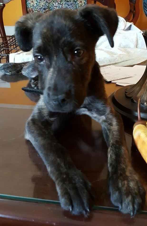 427da1513824b586ff7a42ea3dff050ba4ac5c78