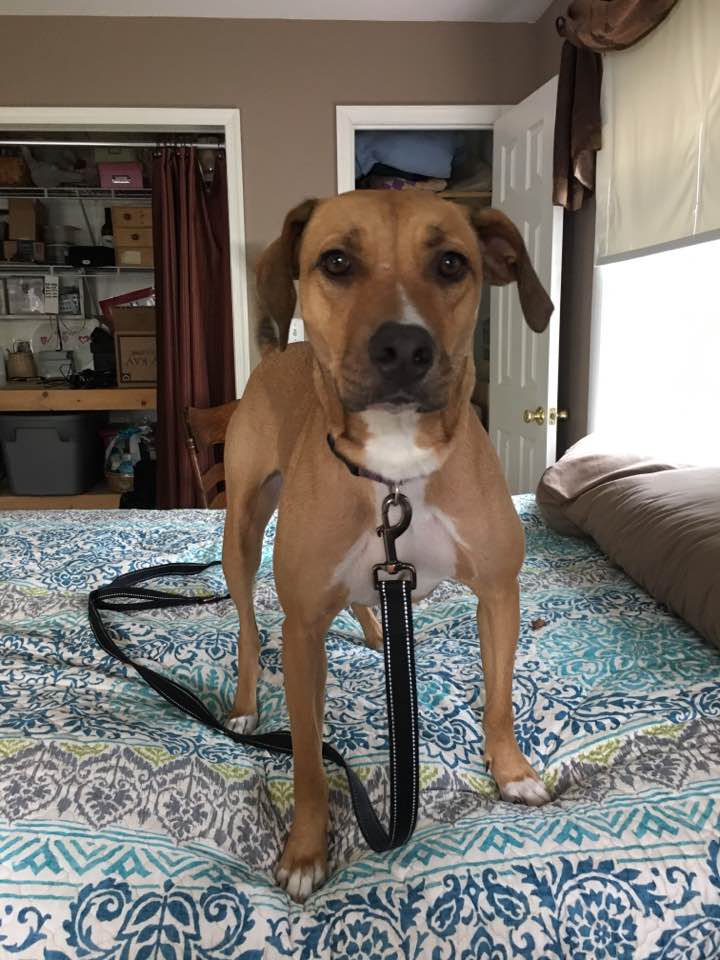 20431662_10154791124407405_6867122213727574991_n