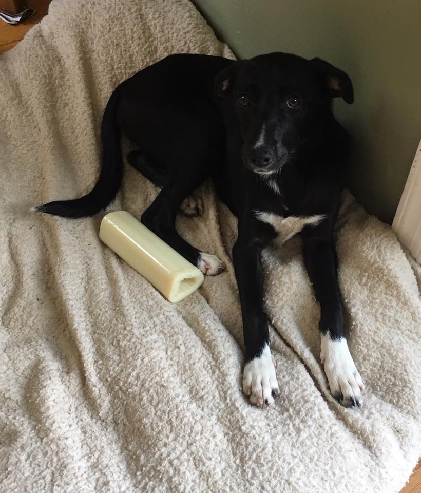 20883003_10154856105477405_4061775339056181305_n