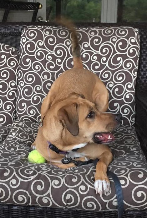 20953348_10154856620492405_641604796664883125_n