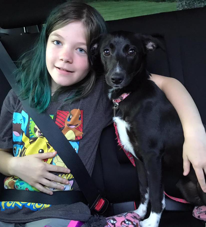 yang adopted as lucy